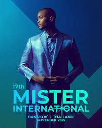Image result for mister