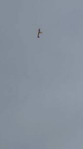 Image result for Thames Valley Scale Aerotow