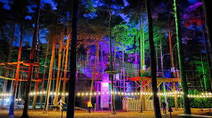 Image result for Go Ape! Alice Holt