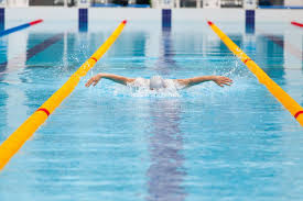 Image result for 1066 Swimmers