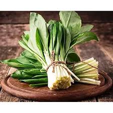 Attēlu rezultāti vaicājumam “Allium ursinum fruit”