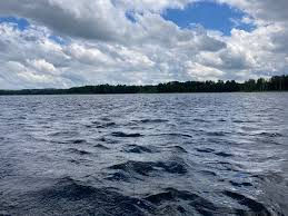 Attēlu rezultāti vaicājumam “Najas tenuissima”