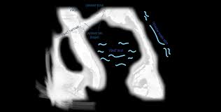 Image result for South Shore Kite Boarders Club