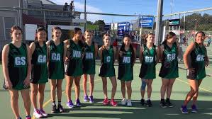 Image result for Wombles Netball Club