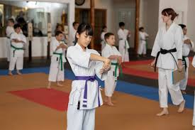 Image result for Phoenix Martial Arts