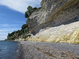 Image result for stevns klint