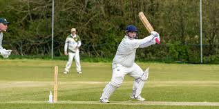 Image result for Timsbury Cricket Club