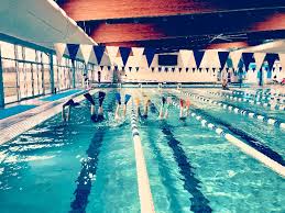 Image result for Sharks Swimming Club Of Mottingham