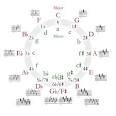 G-sharp minor - Wikipedia, the free encyclopedia