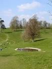 Frying Pan Pond, Dyrham Park - via Daymix