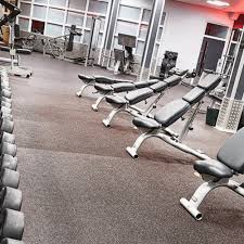 Image result for Swallows Of Helston Gym Club