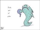 fish out of water