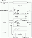 Endotext.com - Adult Growth Hormone Deficiency