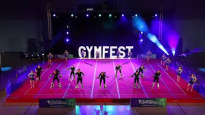 Image result for stonehaven gymnastics club