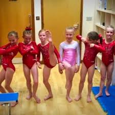 Image result for Lynx Gymnastics Club