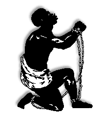 http://t0.gstatic.com/images?q=tbn:ANd9GcREWXwVgQ0_BYktzEbGRmY4RdumMMaZf9-DC2RB82PJdyWxT6oBgA