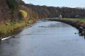 Image result for Durham Amateur Rowing Club