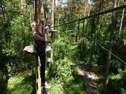 Image result for Go Ape! Alice Holt