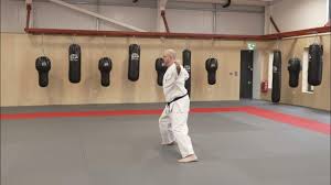 Image result for Abbey Fit Karate Club & Seiki Juku