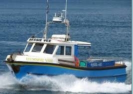 Image result for British Conger Club