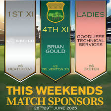 Image result for Cornwood Cricket Club