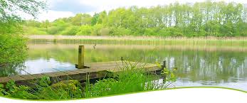 Image result for Diggle Angling Club