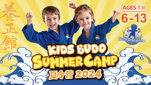 Image result for Yoseikan Budo England