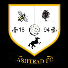 Image result for Ashtead Football Club