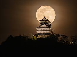 「南部こうざぶろう」の画像検索結果