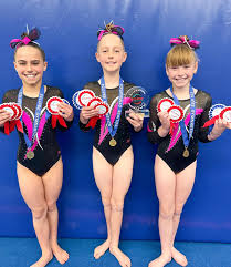 Image result for Diamonds Gymnastics Club