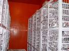 Tropical Plant Germplasm Bank (TPGB)----Xishuangbanna Tropical ...