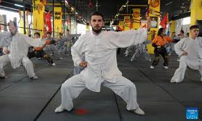 Image result for Wushu Tai Chi Club