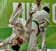 Image result for Ongar Jikishin Ju Jitsu Club