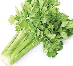 Image result for Sellerie