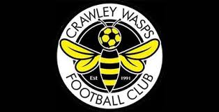 Image result for Wasps Football Club
