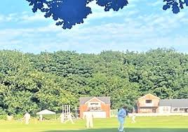 Image result for Rolleston Cricket Club