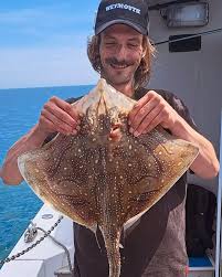 Image result for Raja straeleni