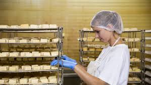 Image result for pálpusztai