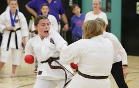Image result for Bristol Karate Club