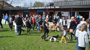 Image result for Potters Bar Cricket Club