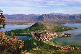 Attēlu rezultāti vaicājumam “Leporida”