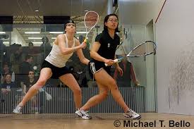 Image result for Dartmouth Badminton Club