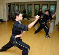 Image result for Dragon Wushu Club