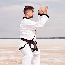 Image result for Masters of Martial Arts