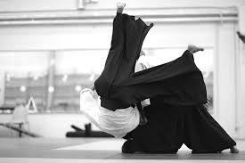 Image result for Goryukai Aikido Yoshinkan (Chichester)