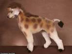 Ren Netherland travels to extreme dog grooming contests in the USA ...