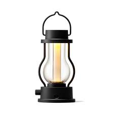 Attēlu rezultāti vaicājumam “Lamproderma debile”