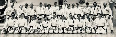 Image result for Shitokai Karate Club