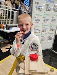 Image result for Hidden Dragon Karate-Do