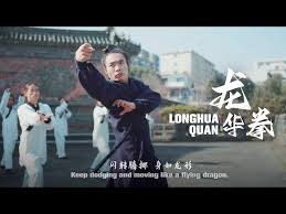 Image result for TRIANGLE CHANGQUAN FLYING DRAGON